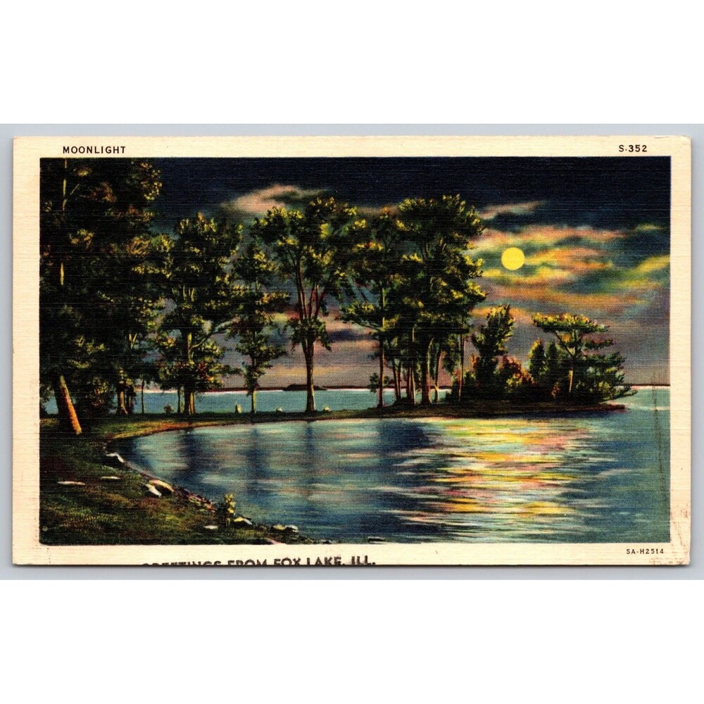 Postcard Illinois Fox Lake Greetings Moonlight Full Moon c1940s Linen Unposted